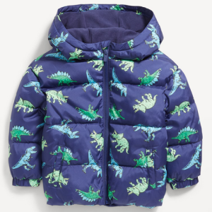 Blue Dino Jacket